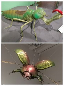 虫